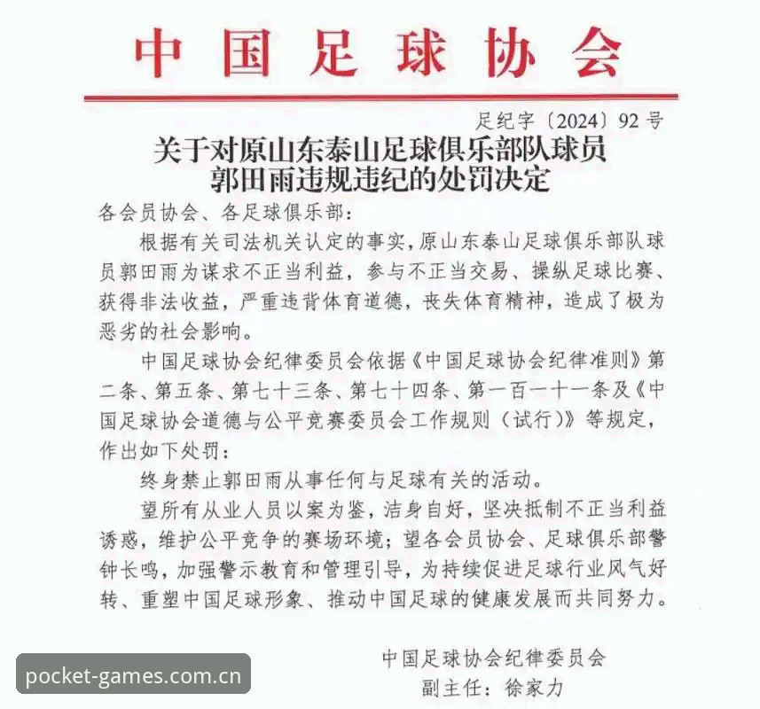 中国足协第三批禁足名单深度评测：17人终身禁赛背后的行业乱象